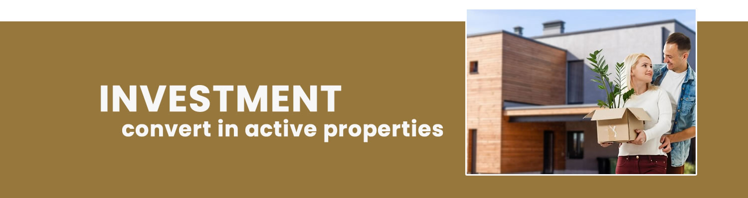 saenzhome_investment